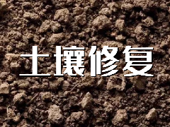 土壤修復(fù)